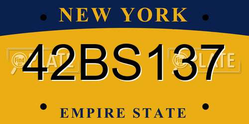 42BS137 New York License Plate