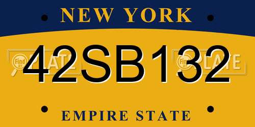 42SB132 New York License Plate