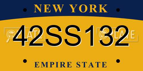 42SS132 New York License Plate