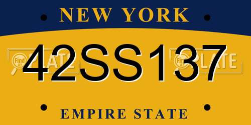 42SS137 New York License Plate