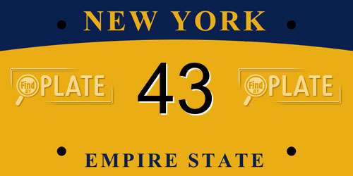 43 New York License Plate