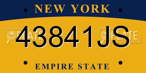 43841JS New York License Plate