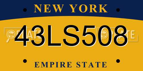 43LS508 New York License Plate