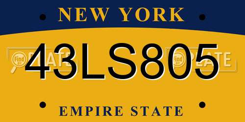 43LS805 New York License Plate