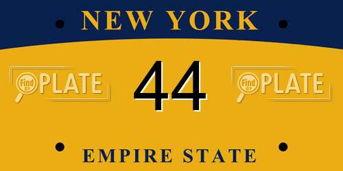 44 New York License Plate