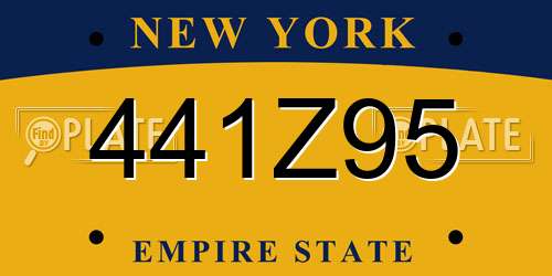 441Z95 New York License Plate