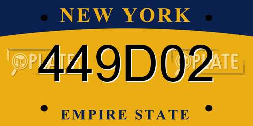 449D02 New York License Plate