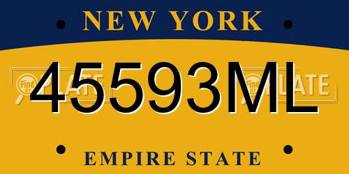 45593ML New York License Plate