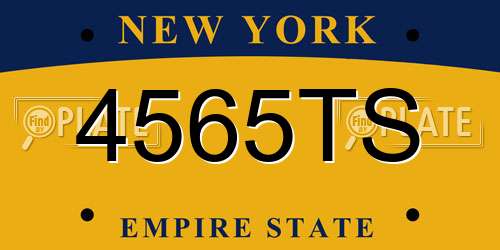 4565TS New York License Plate
