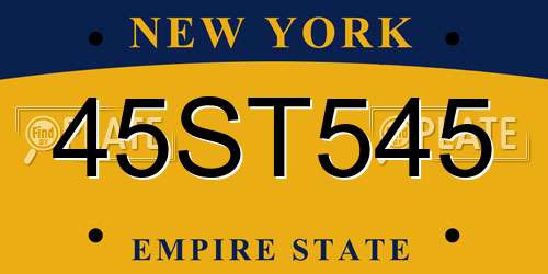 45ST545 New York License Plate