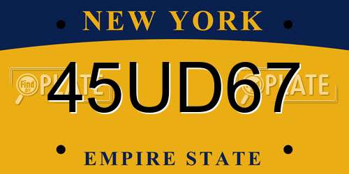 45UD67 New York License Plate