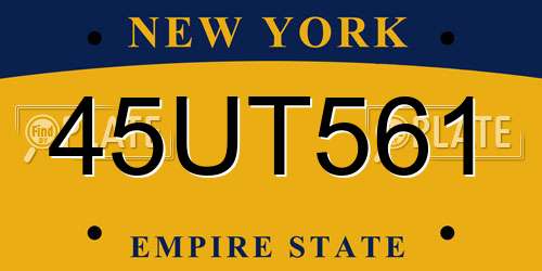 45UT561 New York License Plate
