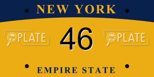 46 New York License Plate