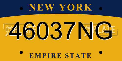 46037NG New York License Plate