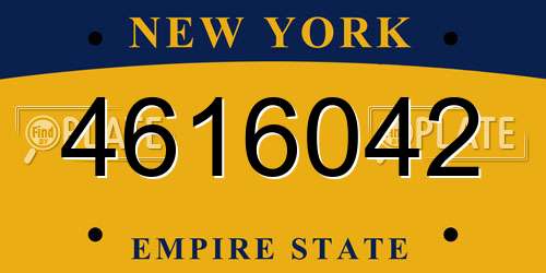4616042 New York License Plate