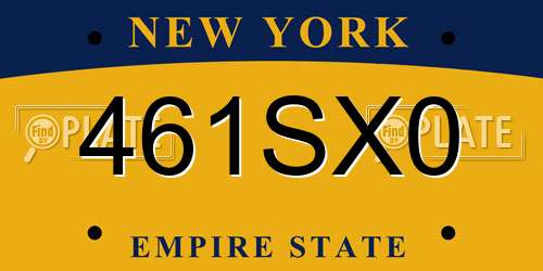 461SX0 New York License Plate