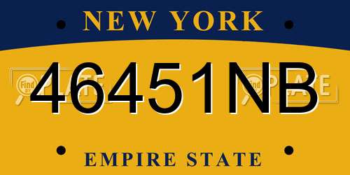 46451NB New York License Plate