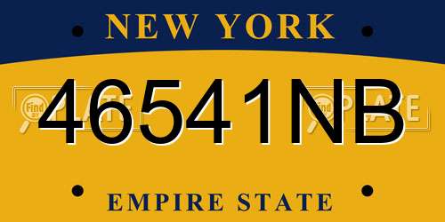 46541NB New York License Plate