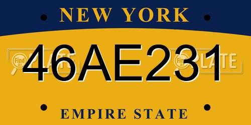 46AE231 New York License Plate