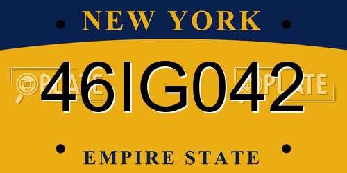 46IG042 New York License Plate
