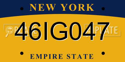 46IG047 New York License Plate