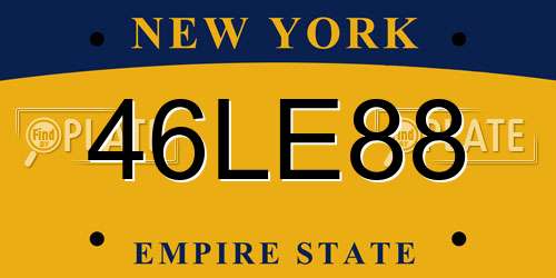 46LE88 New York License Plate