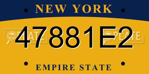 47881E2 New York License Plate