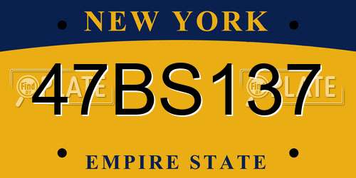 47BS137 New York License Plate