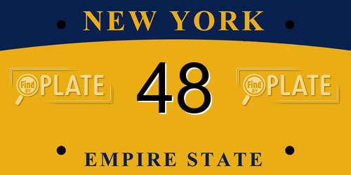 48 New York License Plate