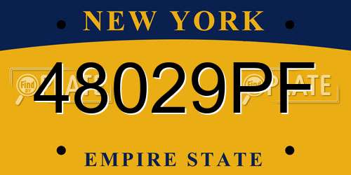 48029PF New York License Plate