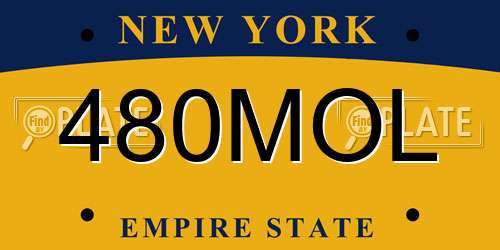 480MOL New York License Plate