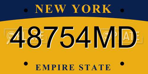 48754MD New York License Plate