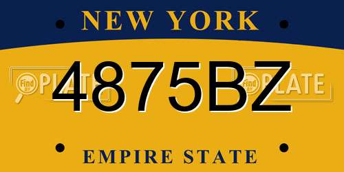 4875BZ New York License Plate