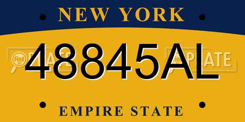 48845AL New York License Plate