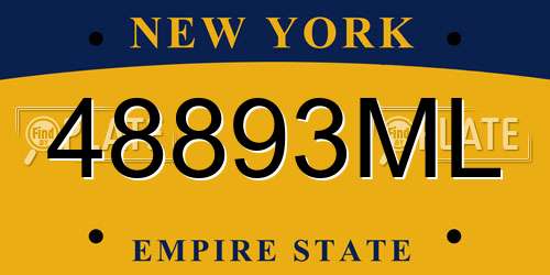 48893ML New York License Plate
