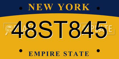 48ST845 New York License Plate