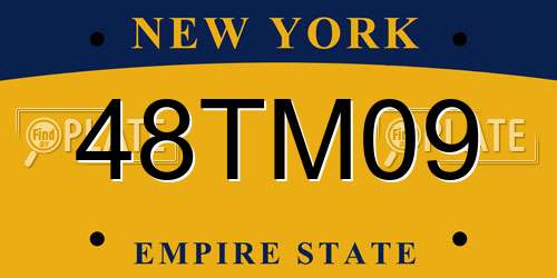 48TM09 New York License Plate