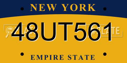 48UT561 New York License Plate