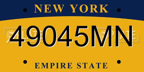 49045MN New York License Plate