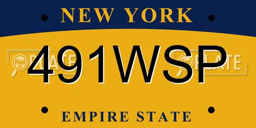 491WSP New York License Plate