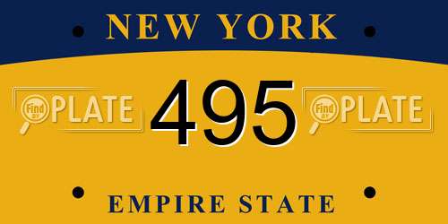 495 New York License Plate