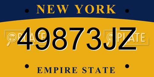 49873JZ New York License Plate