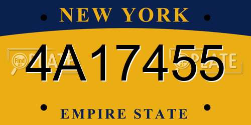 4A17455 New York License Plate