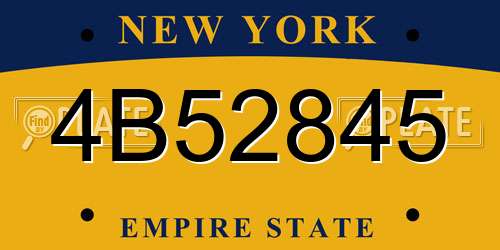 4B52845 New York License Plate