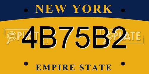 4B75B2 New York License Plate