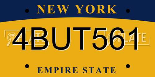4BUT561 New York License Plate