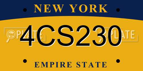 4CS230 New York License Plate