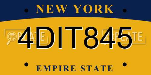 4DIT845 New York License Plate