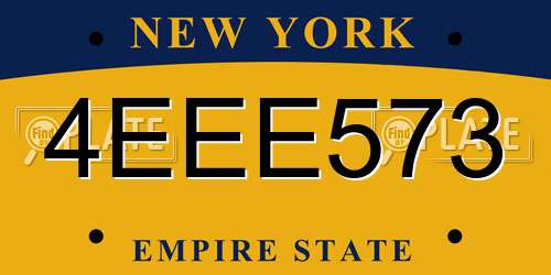 4EEE573 New York License Plate