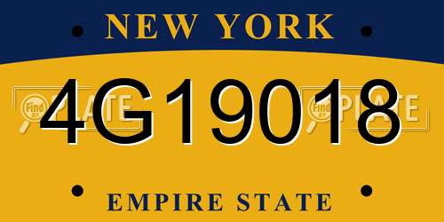 4G19018 New York License Plate